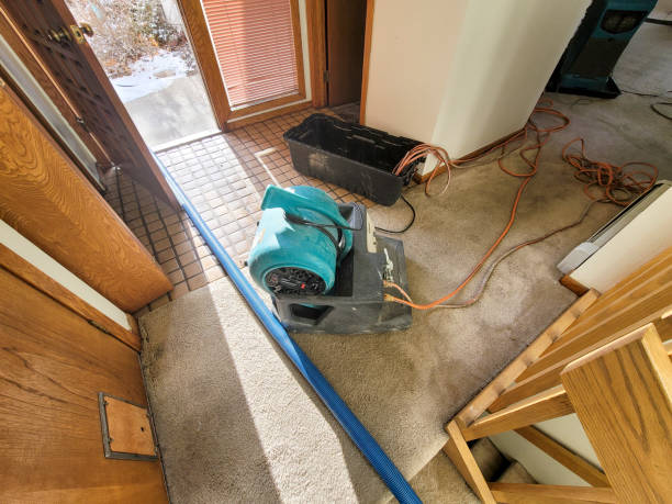 Best Carpet water damage restoration  in Tyler, TX